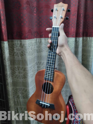 Ukulele 24inc